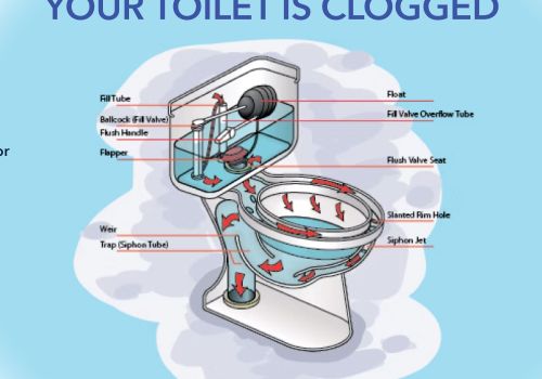 Denommee plumbers remove and clear toilet clogs to fix persistent clog and repair cracked flange—restoring proper drainage and preventing leaks.